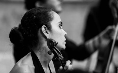 Violin | Chiara Franceschini